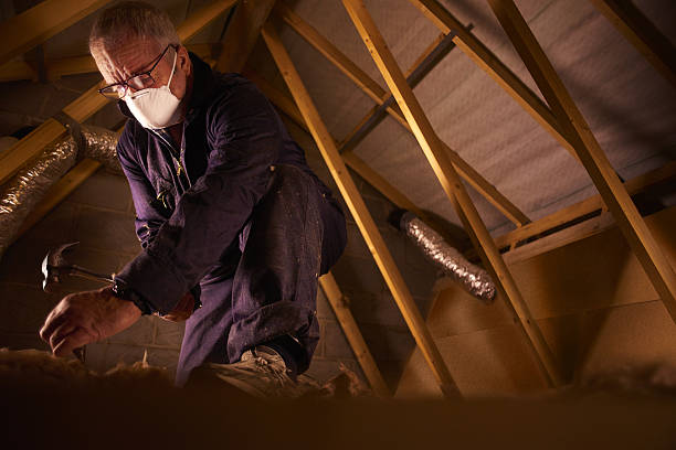 Best Insulation for Specific Applications in Albion, MI